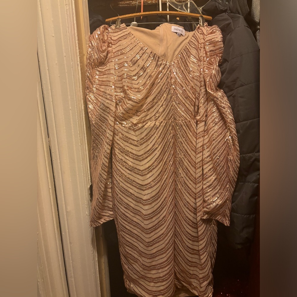 Champagne Plus Gigot Sleeve Sequin Bodycon Dress/ 2XL(16)